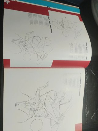 Drawing manga step by step