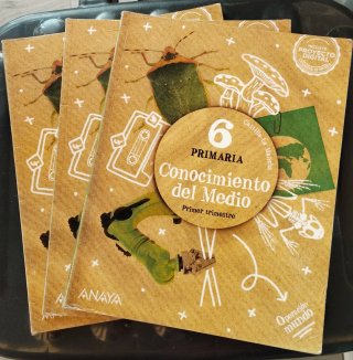 CONOCIMIENTO DEL MEDIO 6 PRIMARIA ANAYA