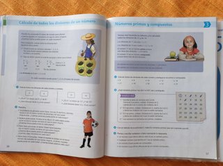 Matemáticas, 5 Primaria Saber Hacer Contigo