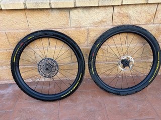 Bicicleta Specialized Epic (opción llantas extra)