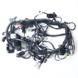 Instalacion electrica l KTM 1290 Super Ref:4796169