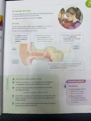 CIENCIAS DE LA NATURALEZA 5 PRIMARIA CONSTRUYEN...