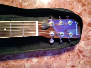 Guitarra Savannah Viaje Acústica