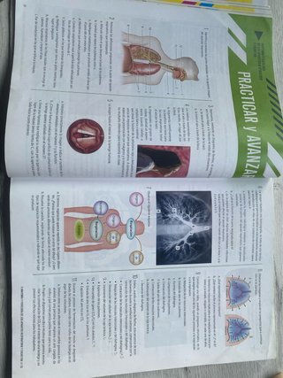 Biología y Geología 3, Secundaria, Fanfest Edel...