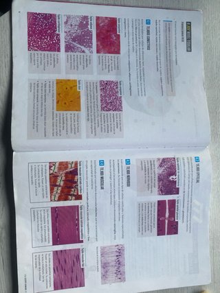 Biología y Geología 3, Secundaria, Fanfest Edel...