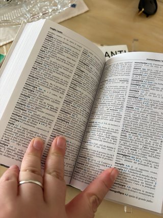 Dizionario Italiano