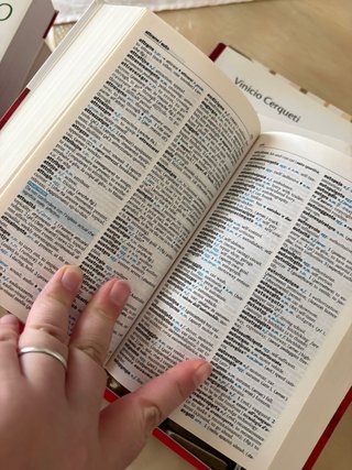 Dizionario Inglese