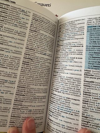Dizionario Francese