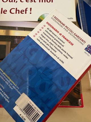 Dizionario Francese
