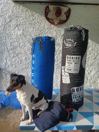 2 Sacos de Boxeo DOMYOS y sin marca