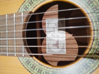 Guitarra Española Paco Castillo 201