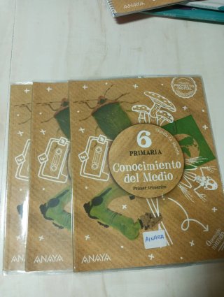 Libros de texto de 6 de primaria