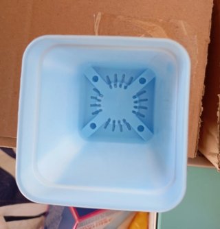 Vasi piccoli per piante in plastica
