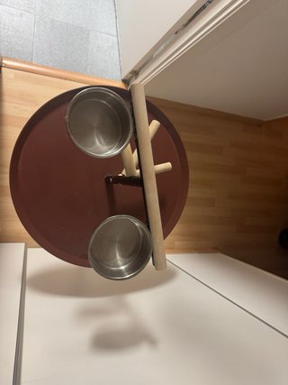 Percha para loro o reposadero con cuencos