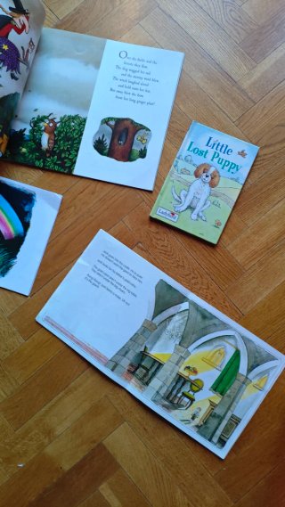 Lote libros infantiles ingles