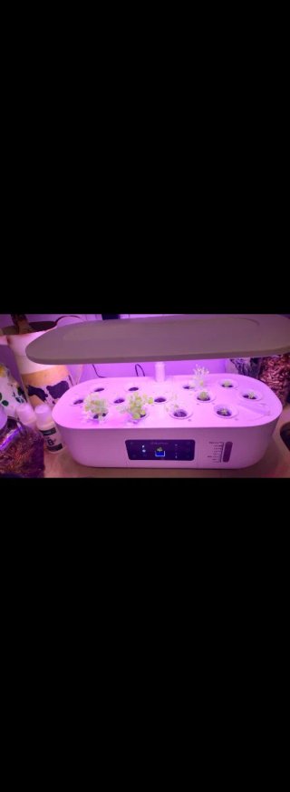 Invernadero Digital Cocina