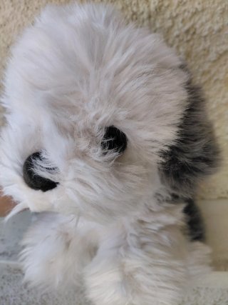 Peluche Cane Pastore Bobtail Vintage