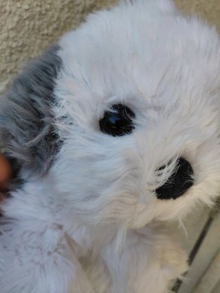 Peluche Cane Pastore Bobtail Vintage