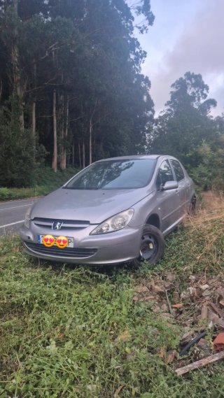 Despiece Peugeot 307 ferrol