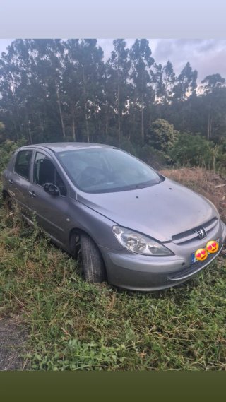 Despiece Peugeot 307 ferrol