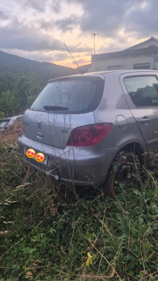 Despiece Peugeot 307 ferrol