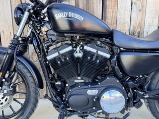 Harley Davidson XL883 Iron Negra