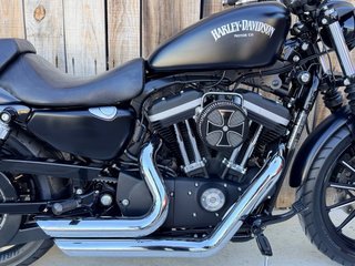 Harley Davidson XL883 Iron Negra
