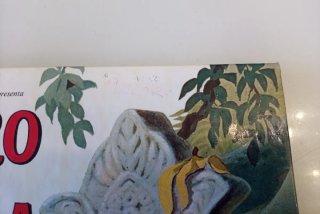 Il Libro della Giungla Mondadori le pietre prezios