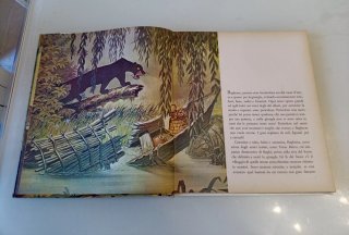 Il Libro della Giungla Mondadori le pietre prezios