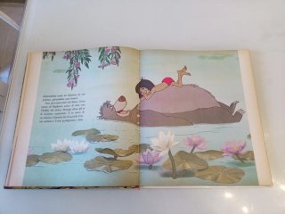 Il Libro della Giungla Mondadori le pietre prezios