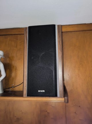 2 Altavoces Aiwa Negros y Marrones