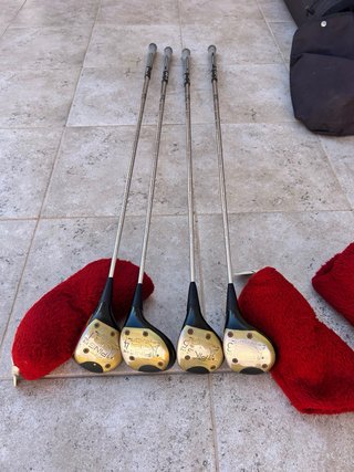 Bolsa de palos de golf con palos