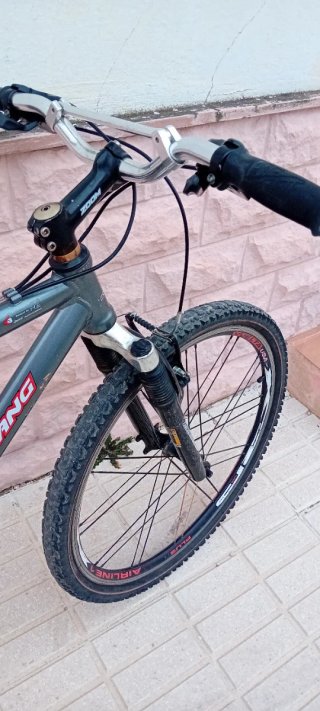 Bicicleta Montaña
