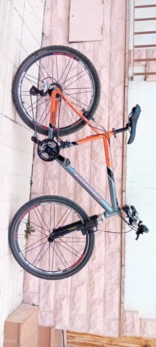 Bicicleta Montaña
