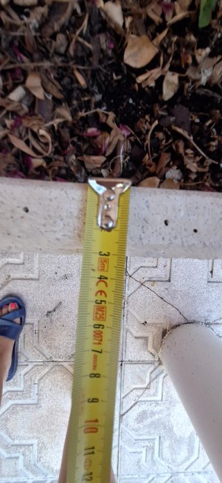 Jardinera de piedra con rosales de regalo