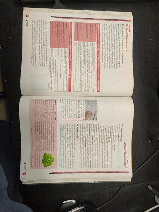 Beatriz Bernal Bachillerato. Lengua castellana