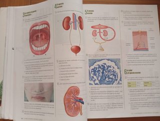 Biología y geología 3, Secundaria Edelvives