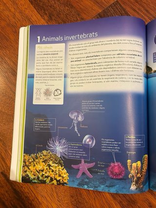 Libro de Biologia i Geologia 1 ESO.