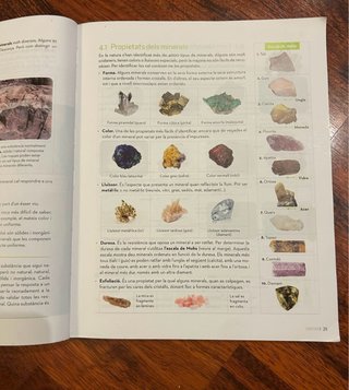 Libro de Biologia i Geologia 1 ESO.