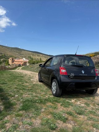 Renault Twingo 2010