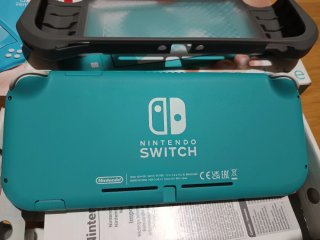 Nintendo Switch Lite Juegos