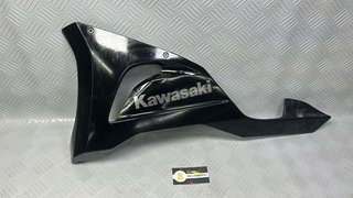 CARENADO  NINJA ZX-6 R (2024)