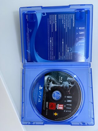 PS4 Until Dawn