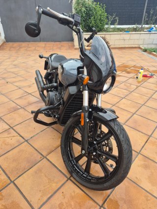 Indian Scout Rogue