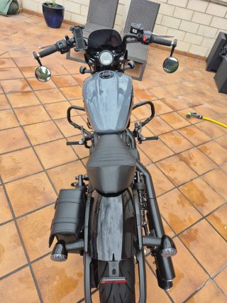 Indian Scout Rogue