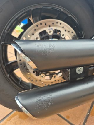 Indian Scout Rogue