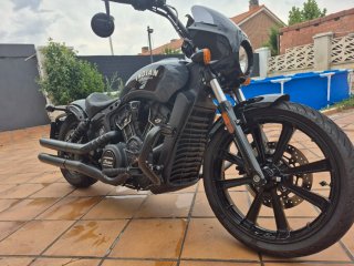 Indian Scout Rogue