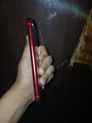 iPhone XR Rojo