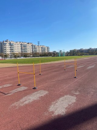 Circuito agilidad