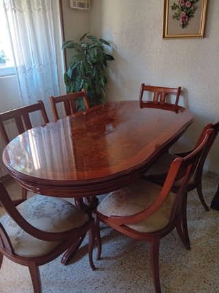 Mesa de comedor ovalada y 6 sillas